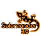 Salamander Salamander